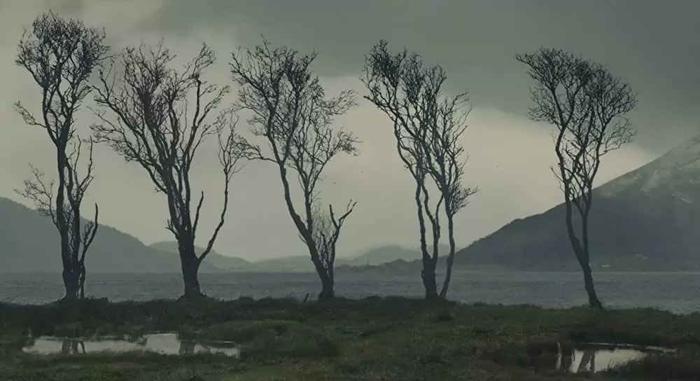 リリーのすべての画像