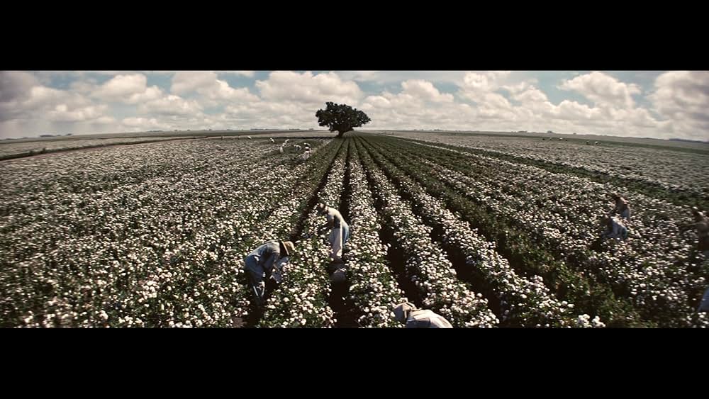 罪人たちの画像