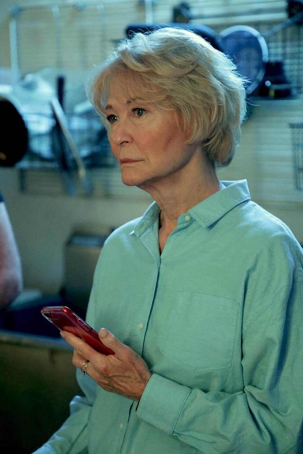 The Forest Hills（原題）の画像