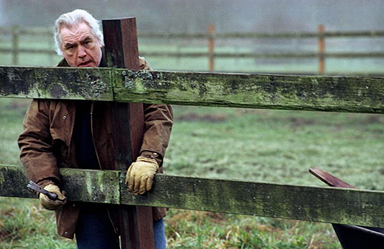 ザ・リングの画像