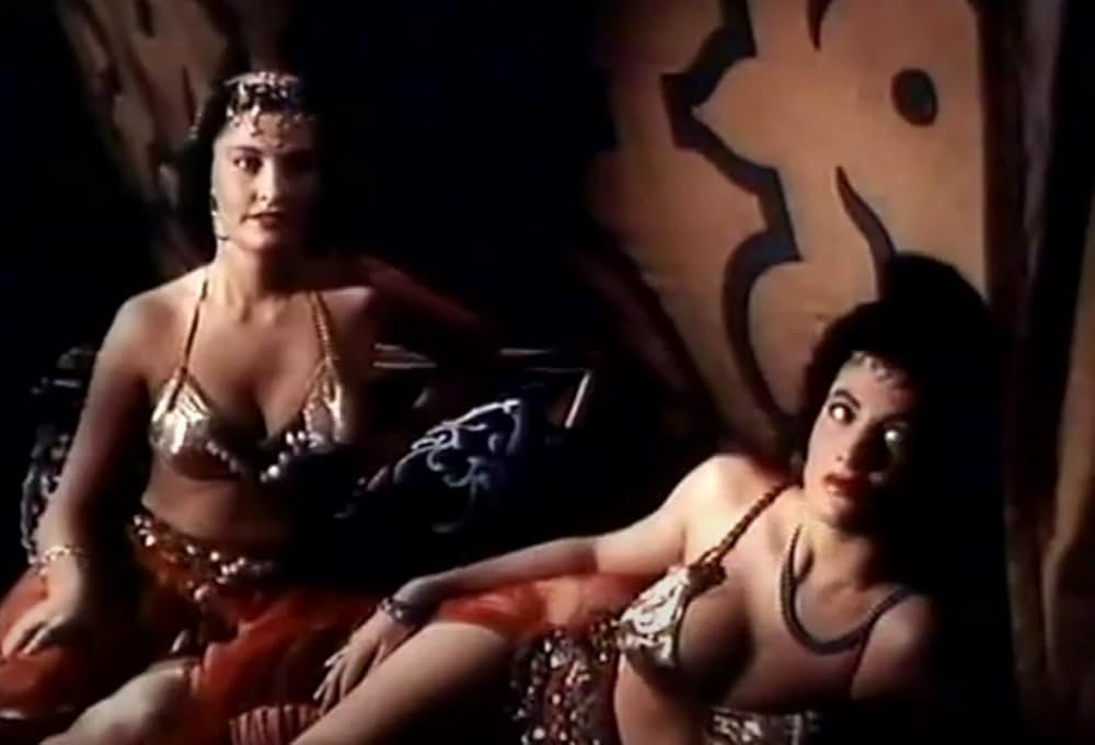 四十人の女盗賊の画像