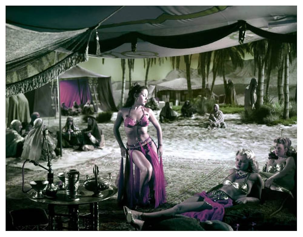 四十人の女盗賊の画像