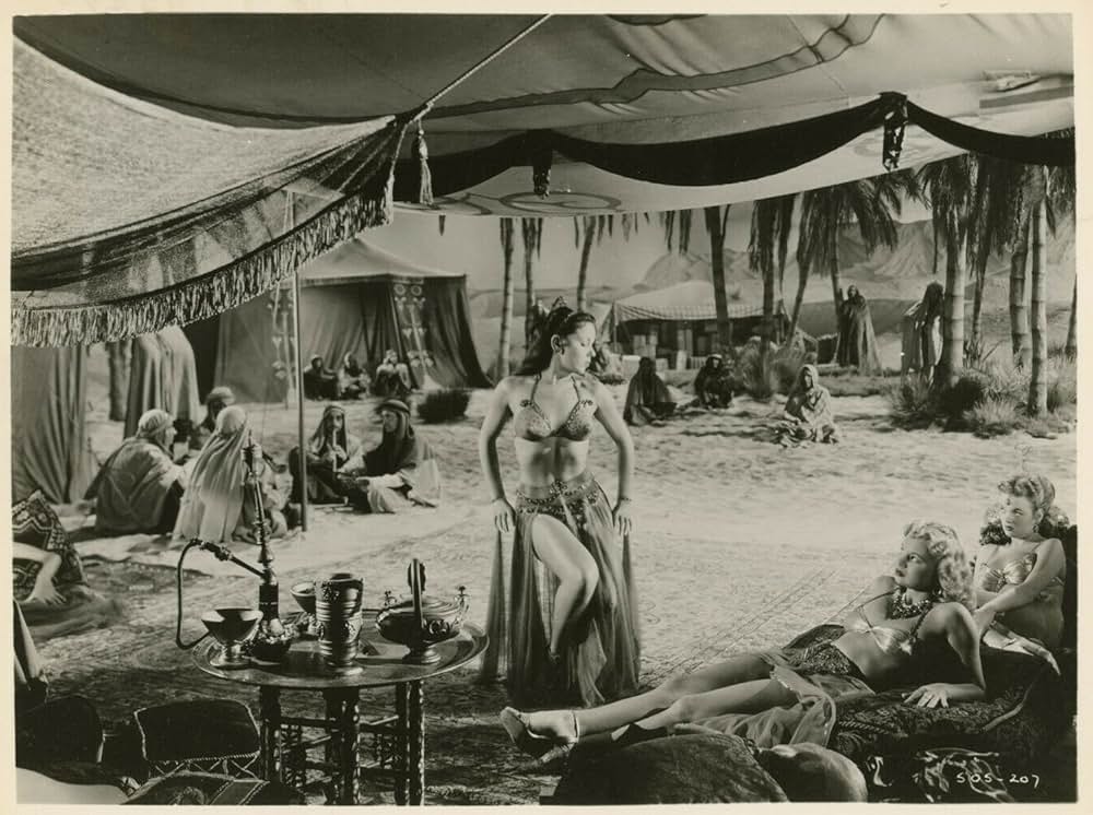 四十人の女盗賊の画像