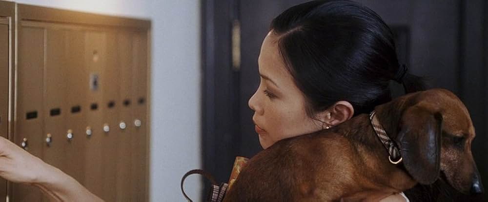 最後の恋のはじめ方の画像