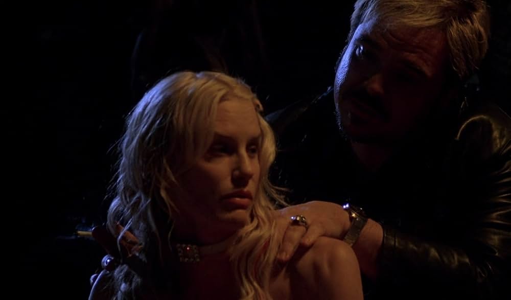 ブルー・イグアナの夜の画像