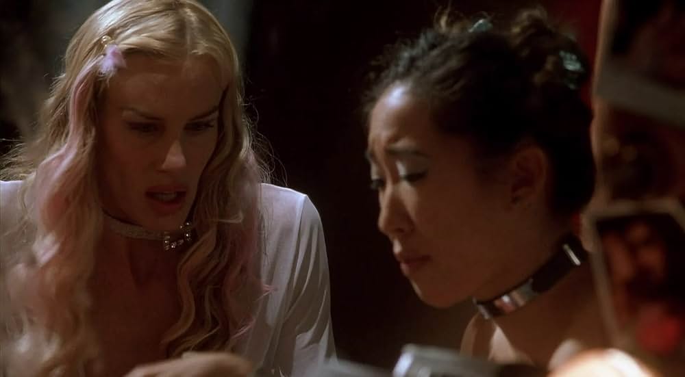 ブルー・イグアナの夜の画像