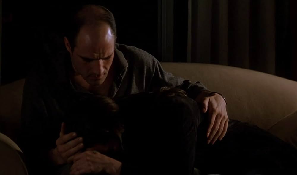 ブルー・イグアナの夜の写真