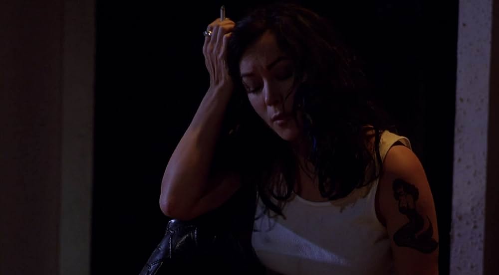 ブルー・イグアナの夜の画像