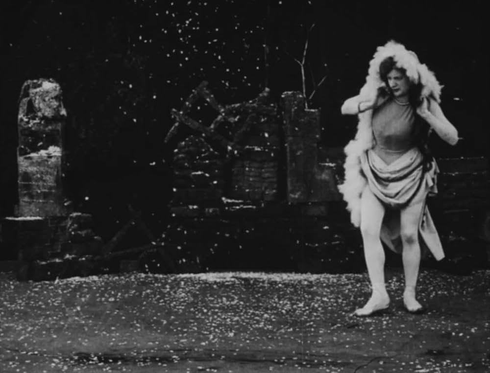 Danse des saisons（原題）の写真