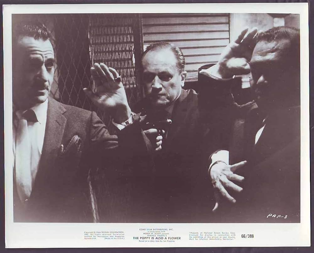 悪のシンフォニーの画像