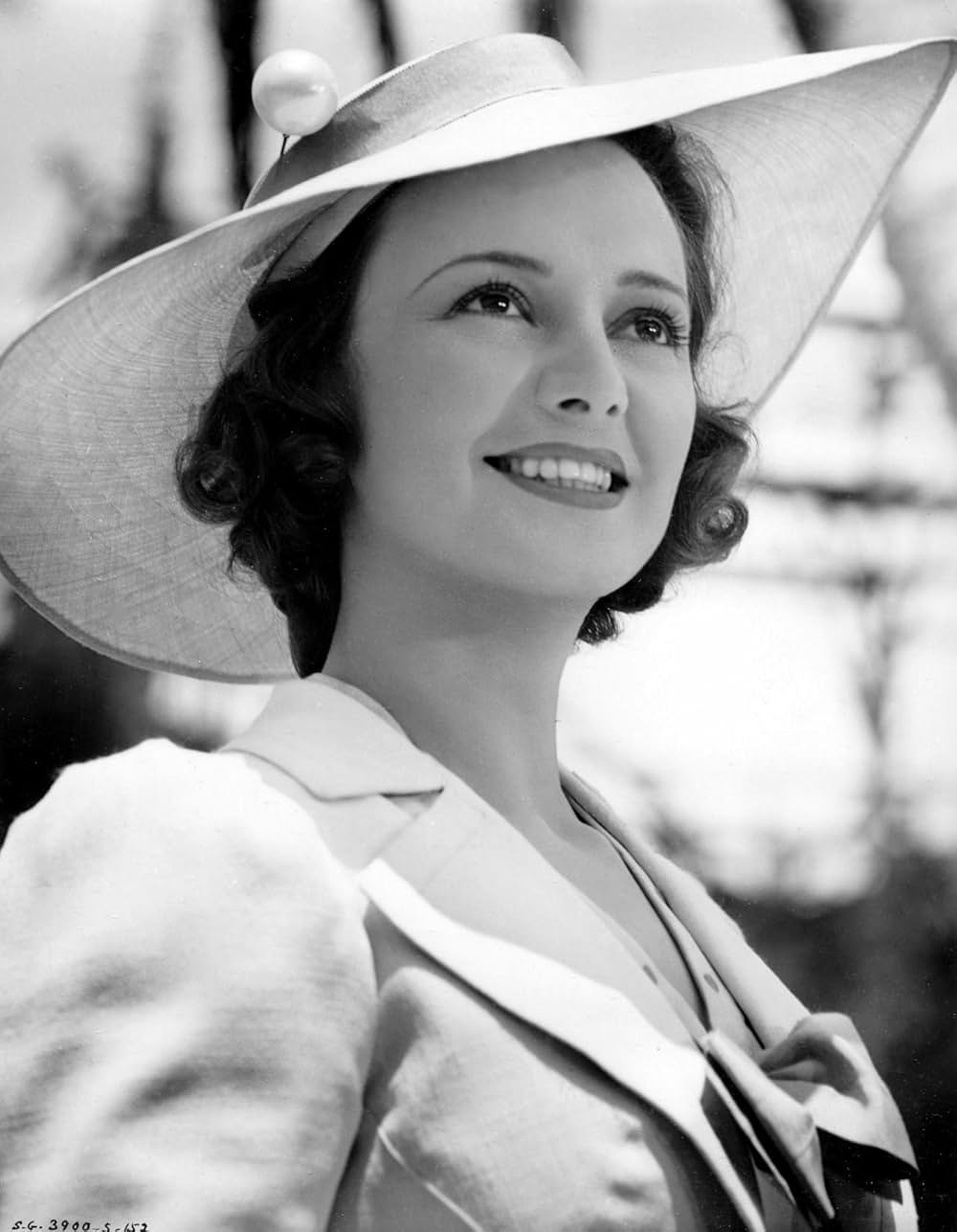 暁の討伐隊の画像