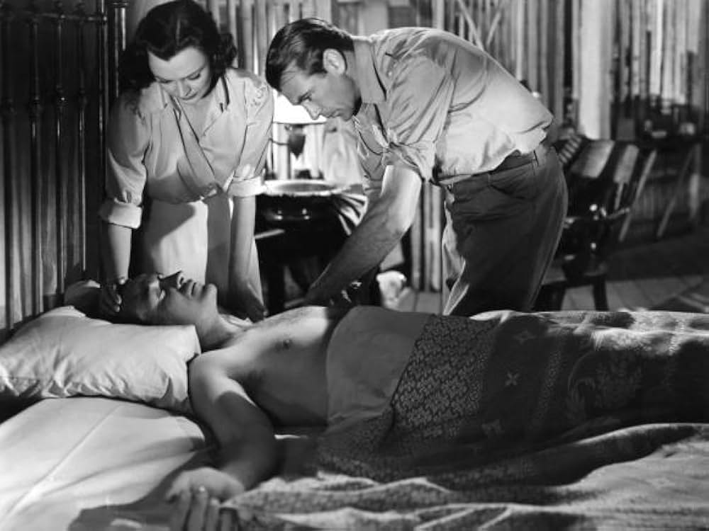 暁の討伐隊の画像