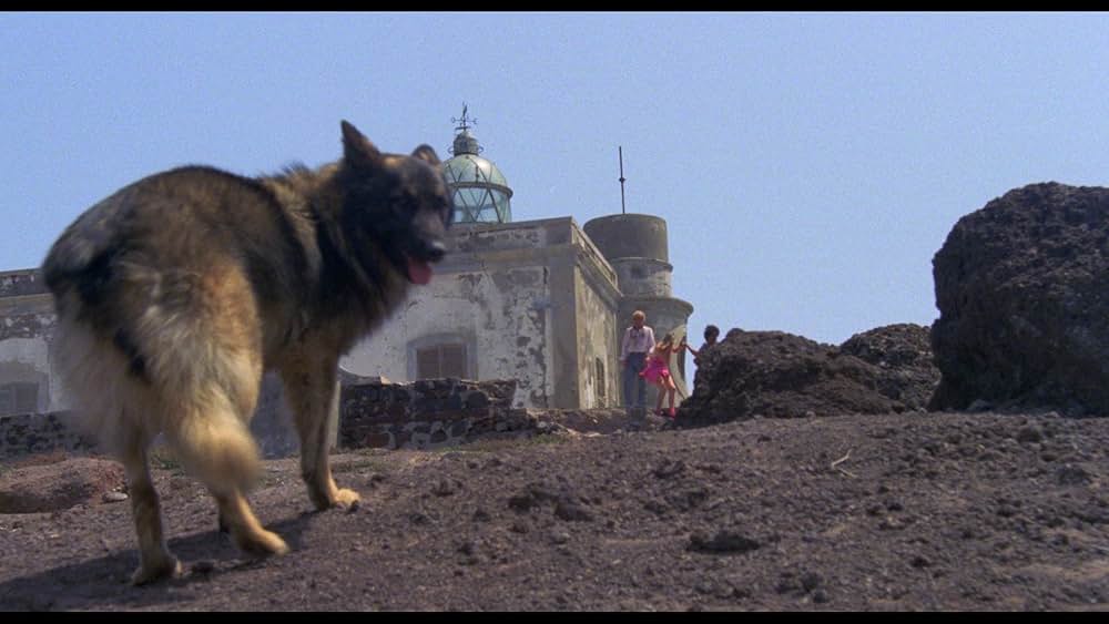 人獣戯画の画像