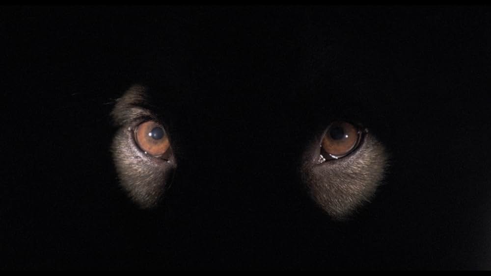 人獣戯画の画像