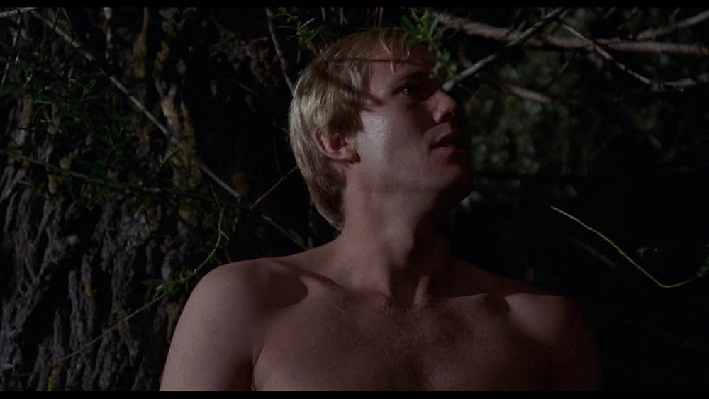 人獣戯画の画像