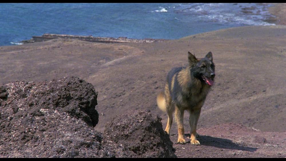 人獣戯画の画像