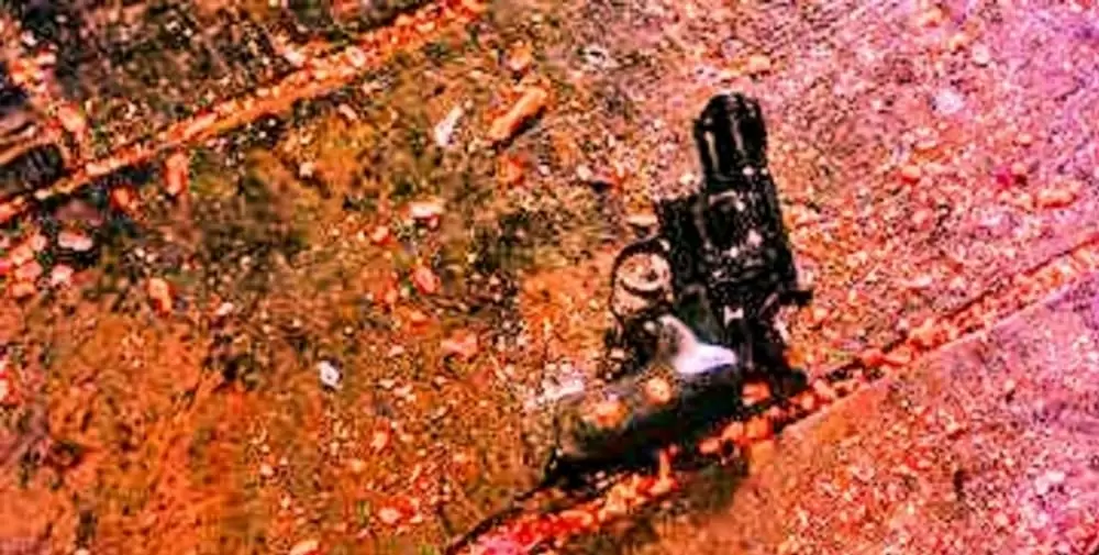 フロム・ダスク・ティル・ドーンの画像