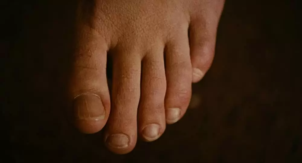 フロム・ダスク・ティル・ドーンの画像