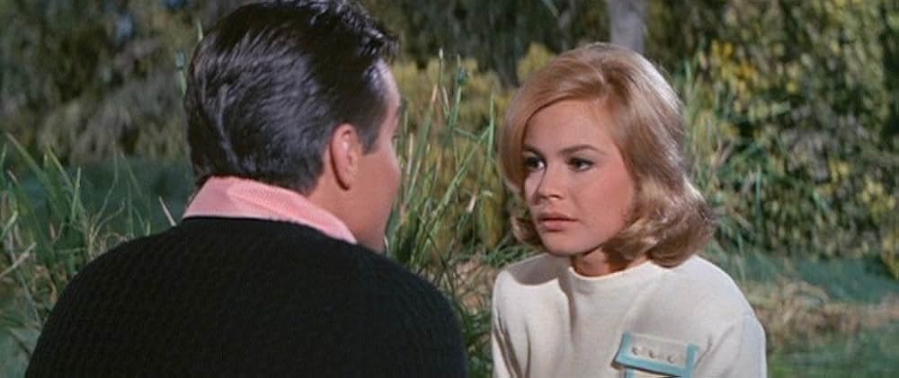 恋愛留学生の画像