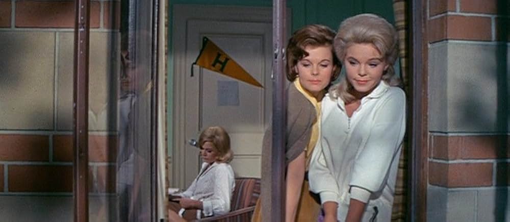 恋愛留学生の画像