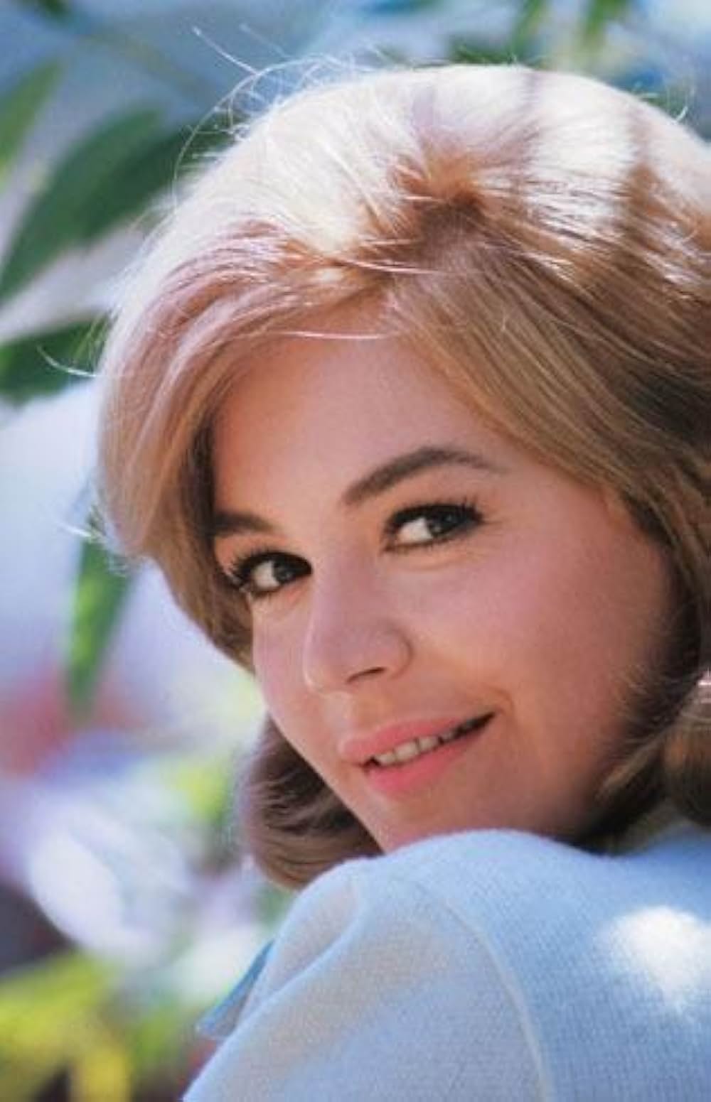 恋愛留学生の画像