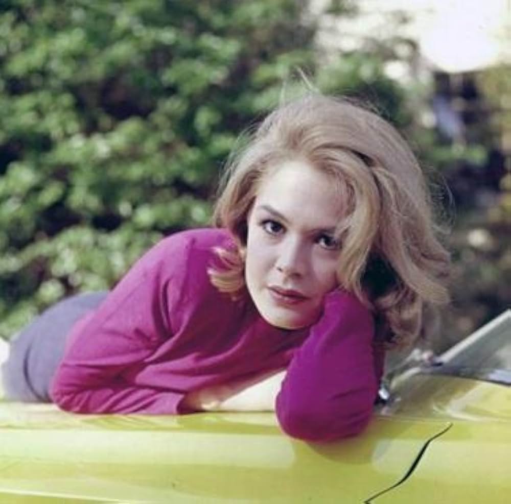 恋愛留学生の画像