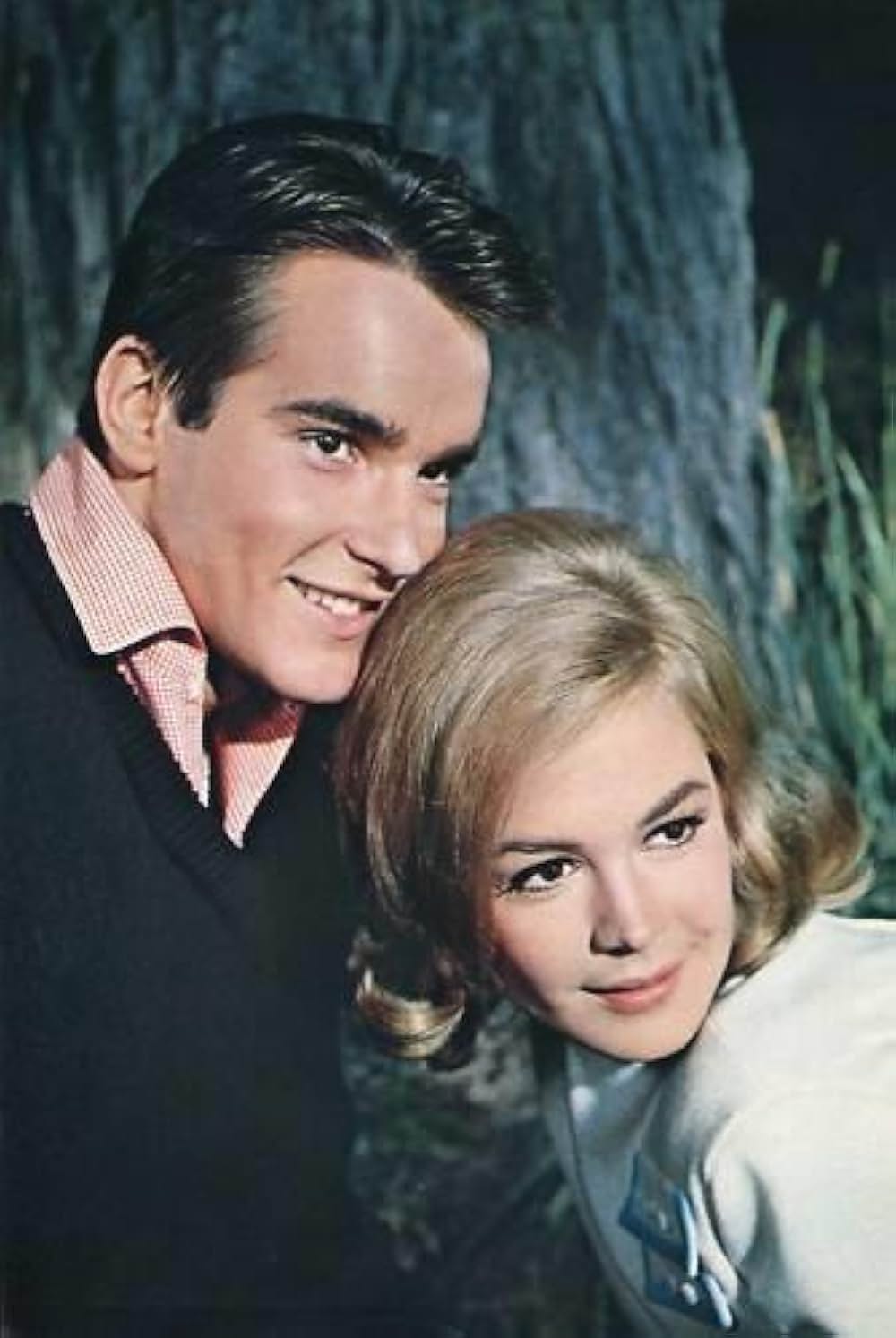 恋愛留学生の画像