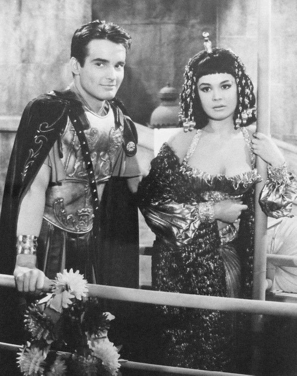 恋愛留学生の画像