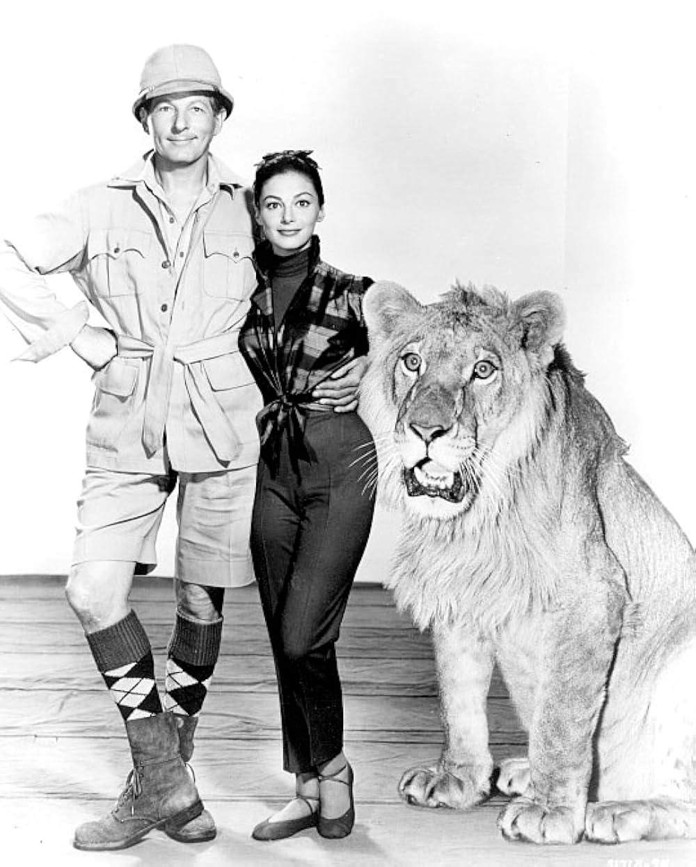 僕はツイてるの画像