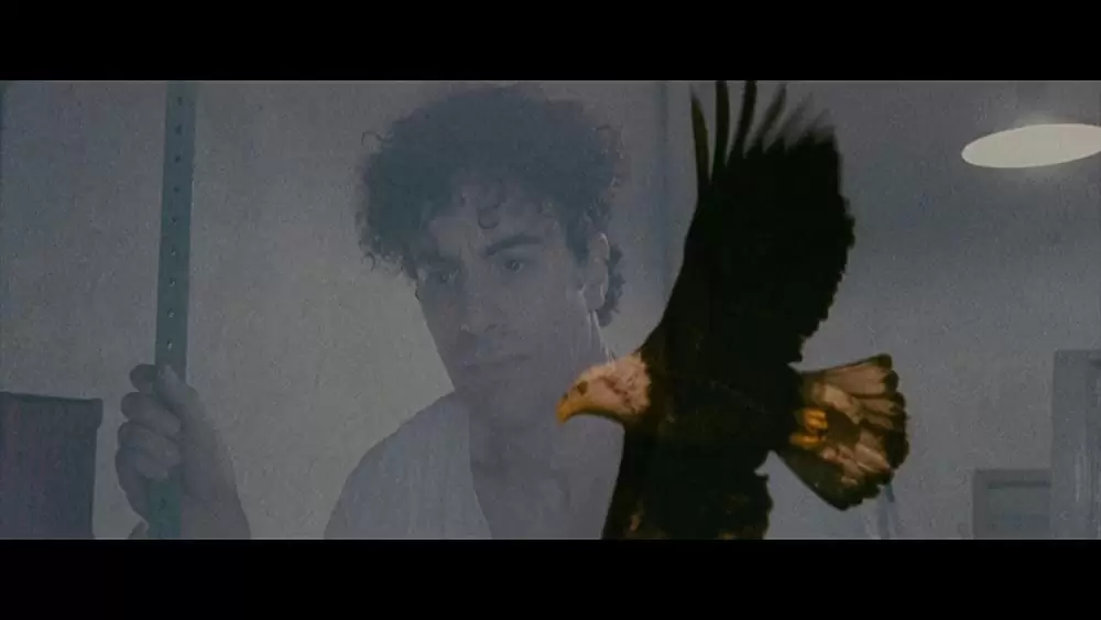 ディクテーター 身元不明でニューヨークの画像