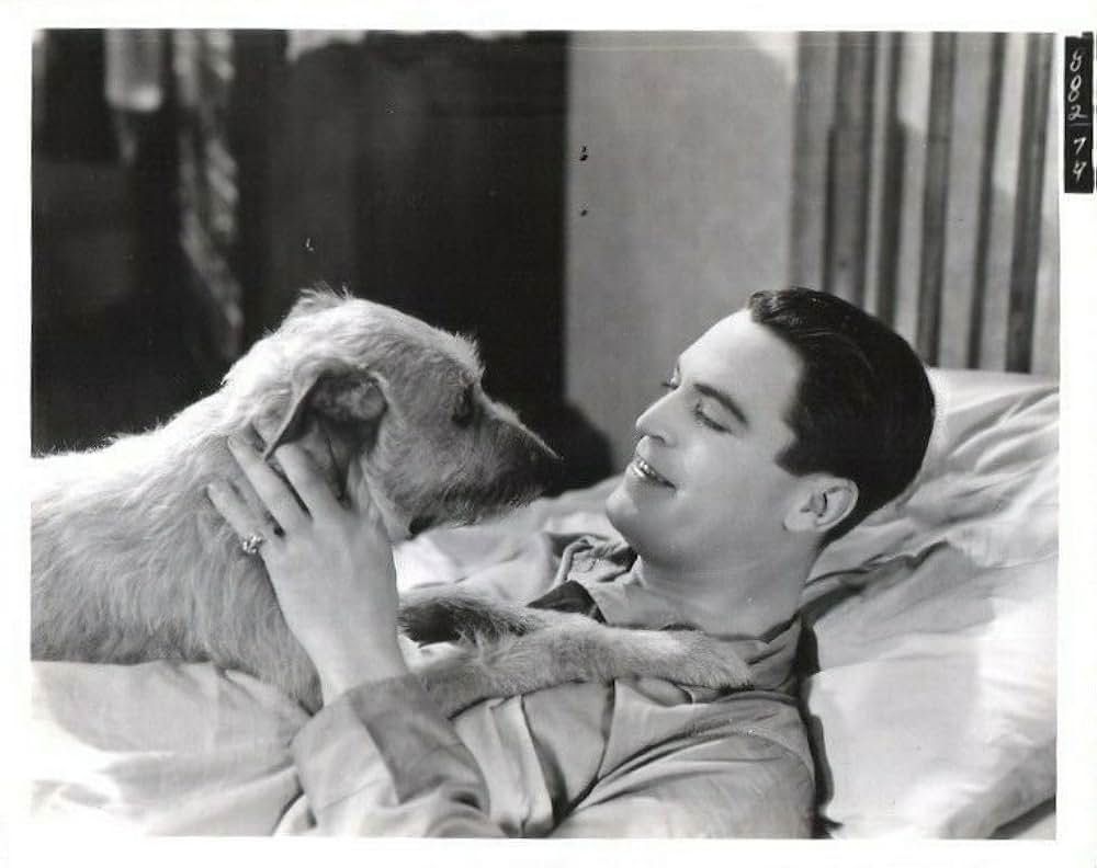 明日は晴れの画像