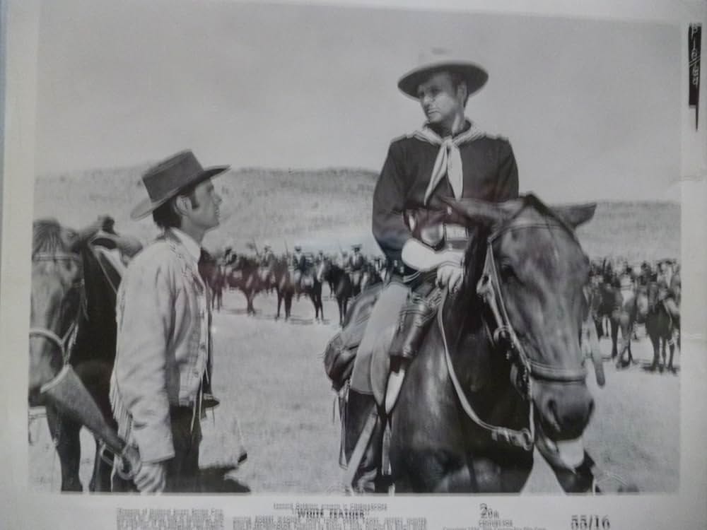 白い羽根の画像