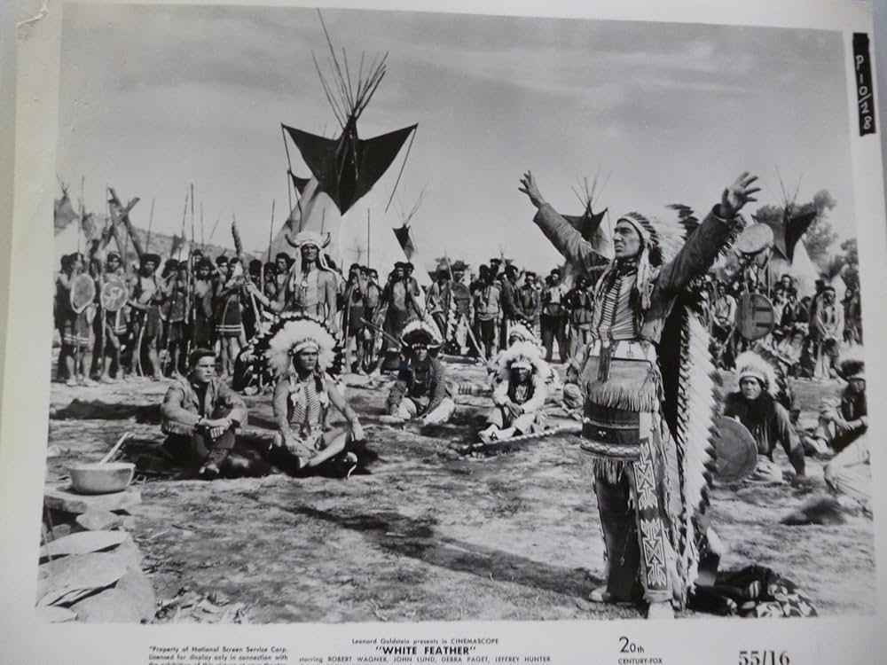 白い羽根の画像