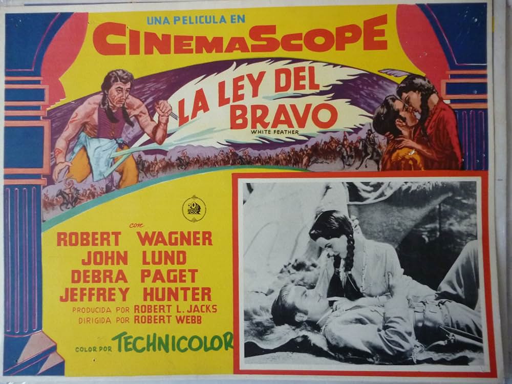 白い羽根の画像