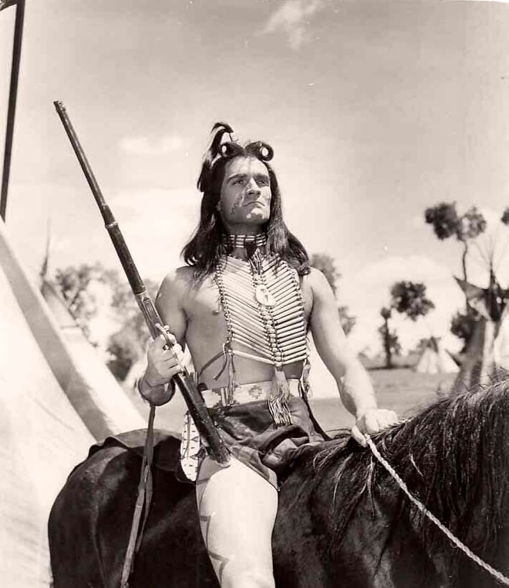 白い羽根の写真