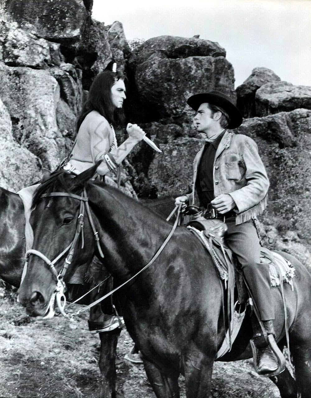 白い羽根の画像