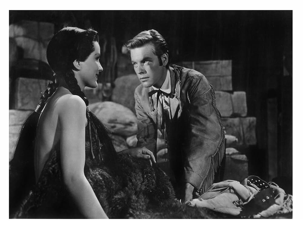 白い羽根の画像