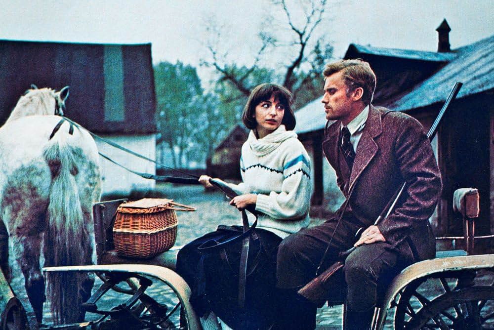 ヴィルコの娘たちの画像