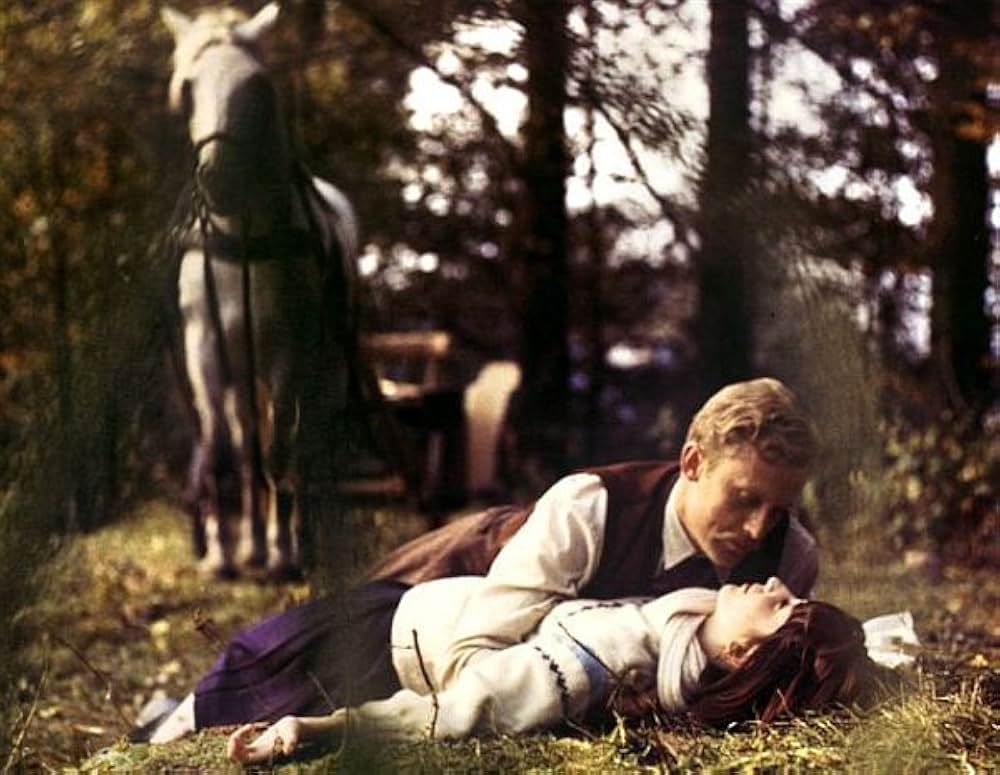 ヴィルコの娘たちの画像