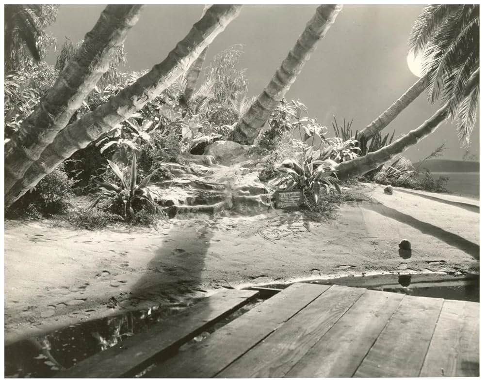 恋と胃袋の写真