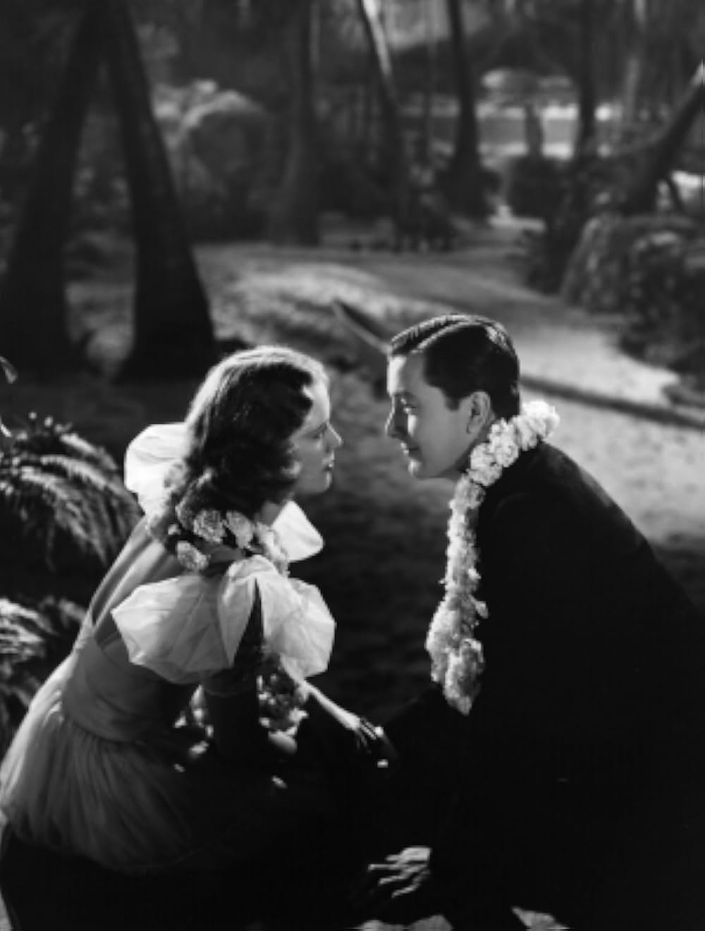 踊るホノルルの画像