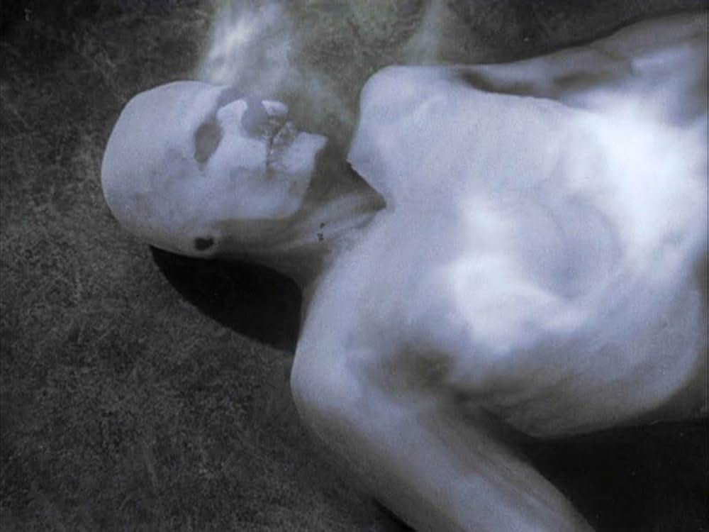 姿なき訪問者の画像