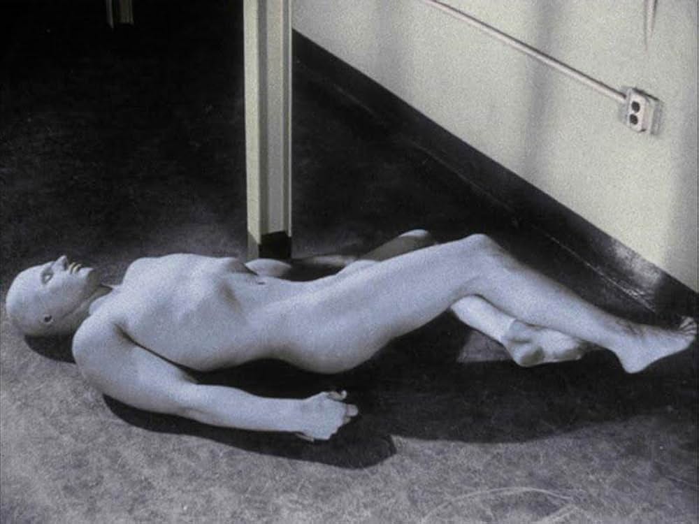 姿なき訪問者の画像