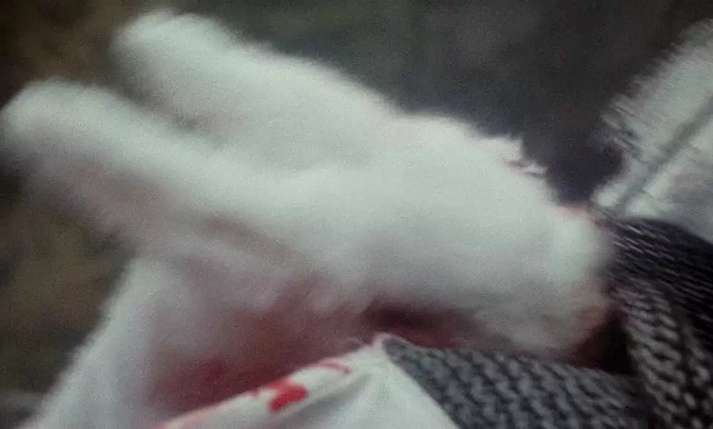 モンティ・パイソン・アンド・ホーリー・グレイルの画像