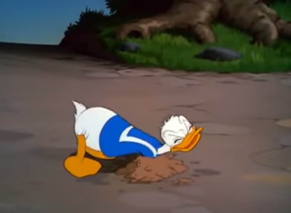 ドナルドとアリの王国の画像