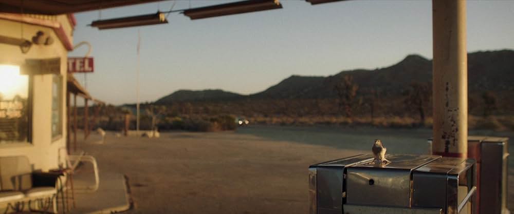 The Last Stop in Yuma County（原題）の画像