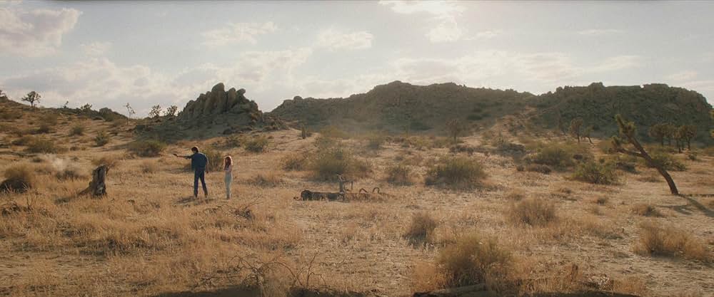 The Last Stop in Yuma County（原題）の画像