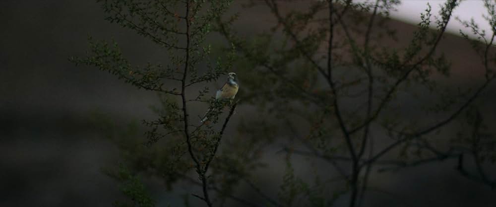 The Last Stop in Yuma County（原題）の画像