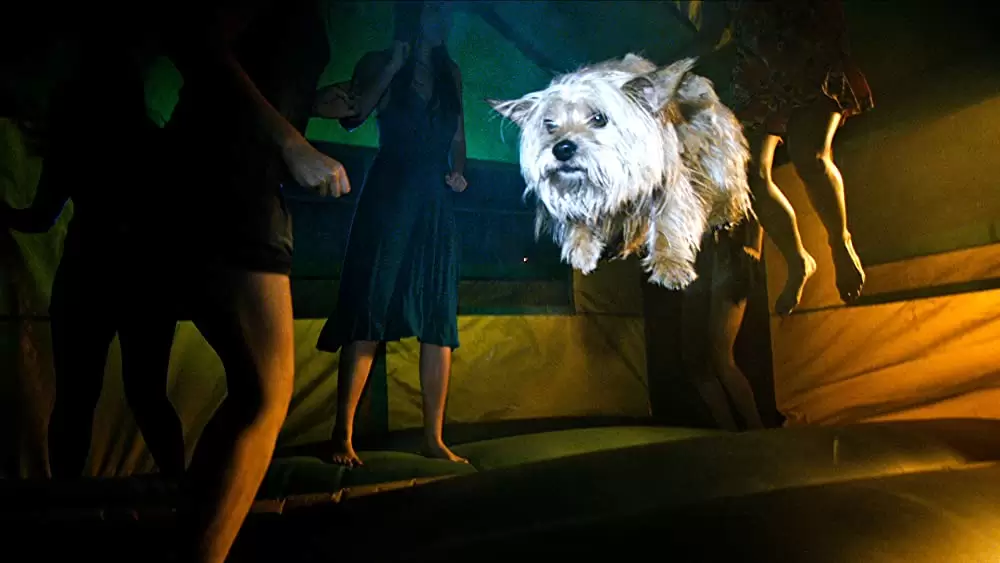 プロジェクト Xの画像