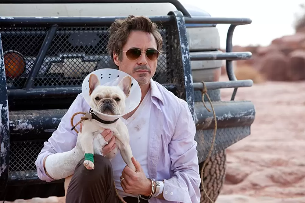 デューデート 〜出産まであと5日！史上最悪のアメリカ横断〜の画像